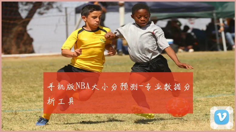 手机版NBA大小分预测-专业数据分析工具
